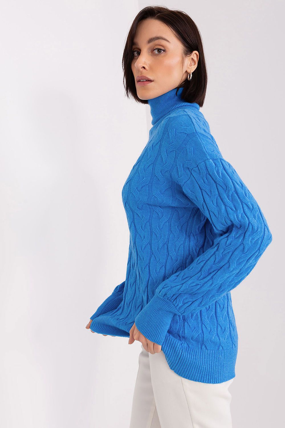  Turtleneck model 188299 AT 