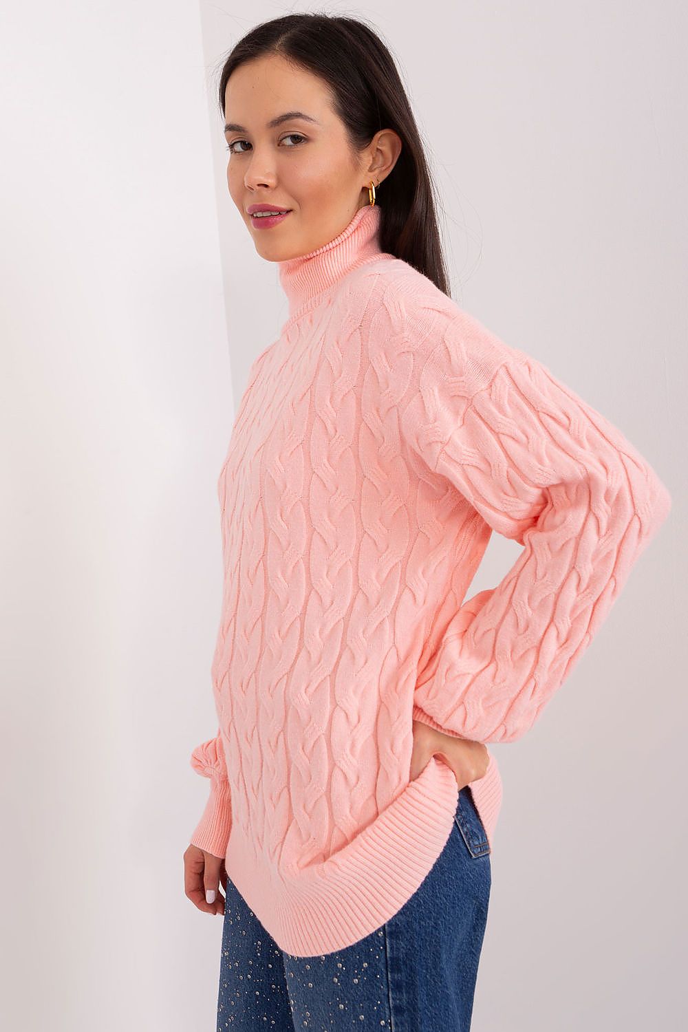  Turtleneck model 188306 AT 